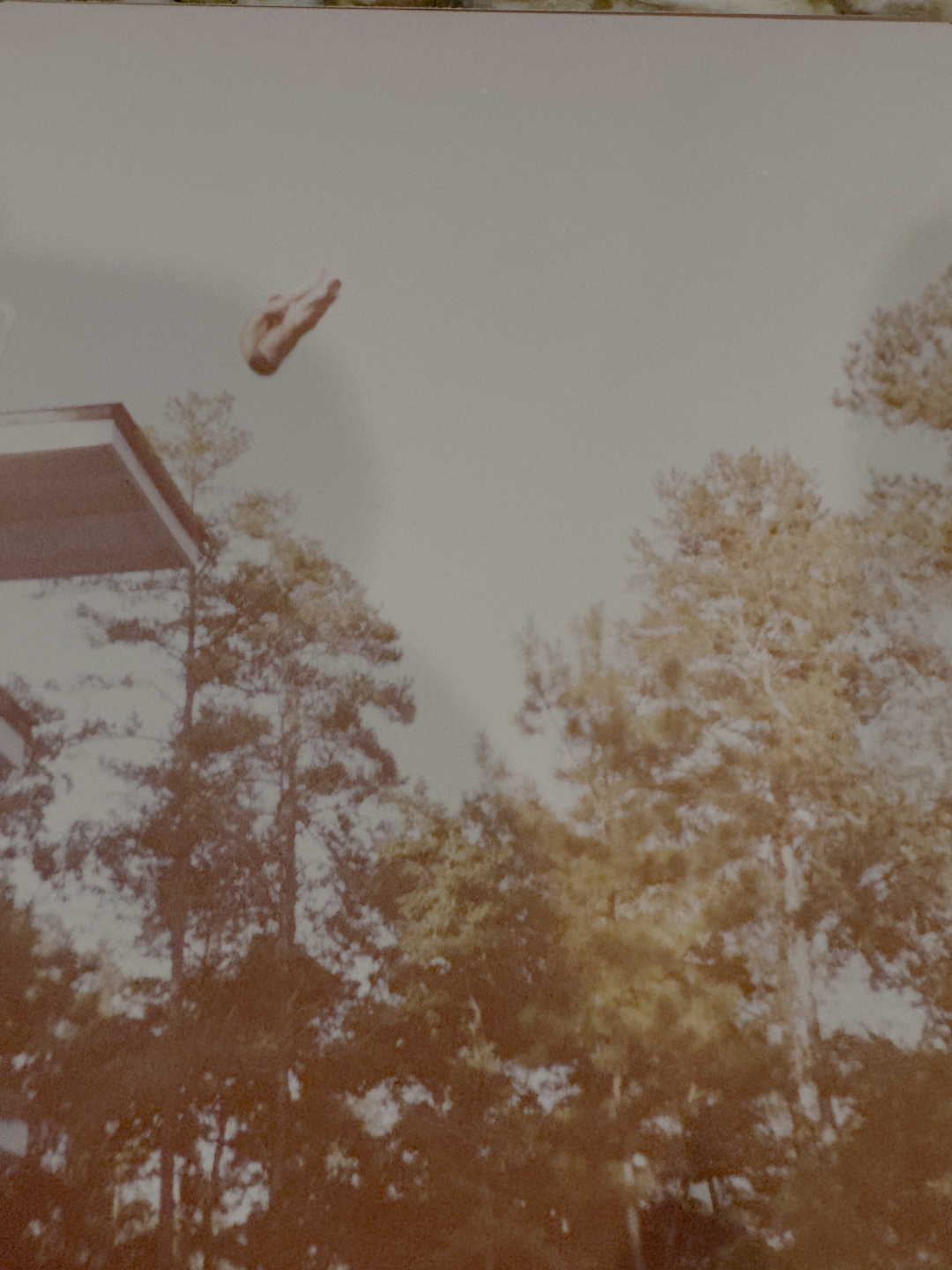 Mark Brown diving at the University of Houston
