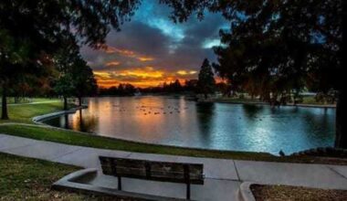 Mesquite surprises as a wealth magnet and more Dallas news