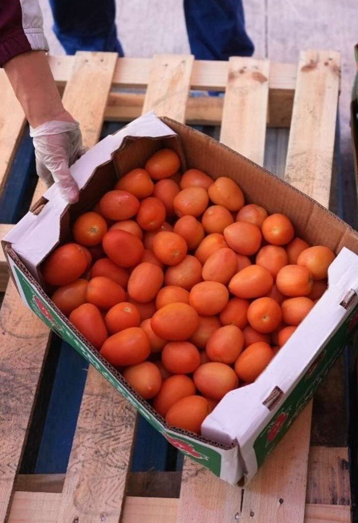 More than 700 families fed during San Antonio Food Bank, Boeing distribution event