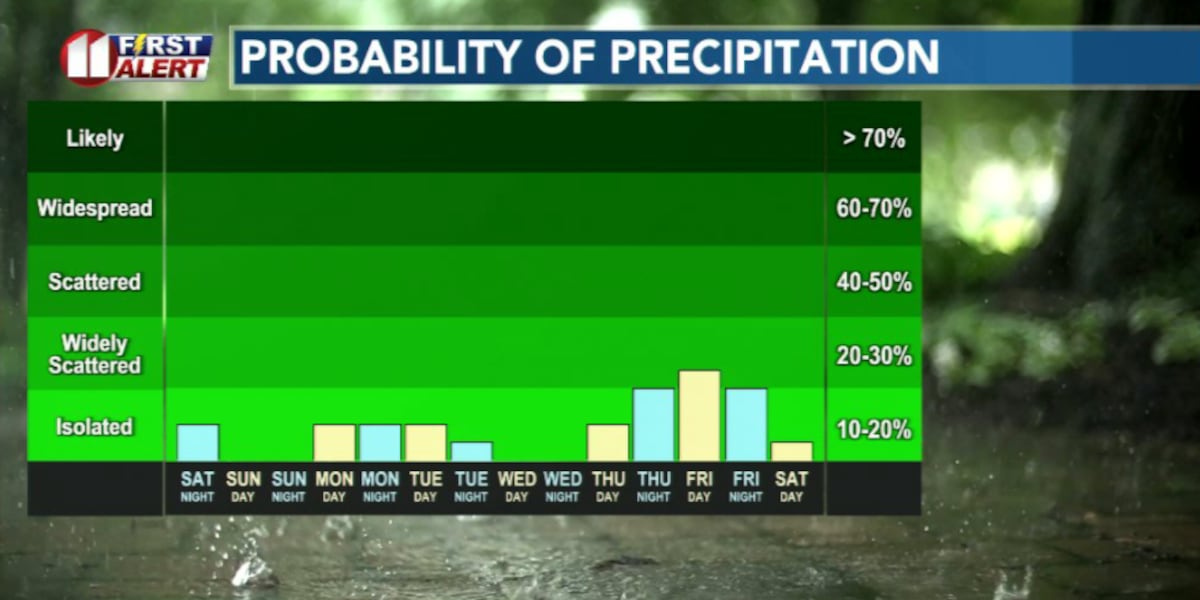 February feels like spring with weak rain chances