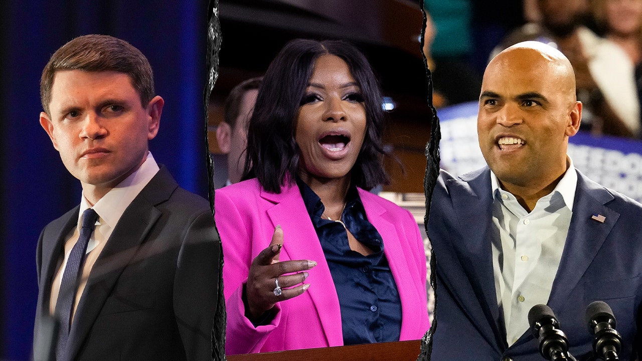 Texas Democrats called out over 'circular firing squad behavior' in Senate race