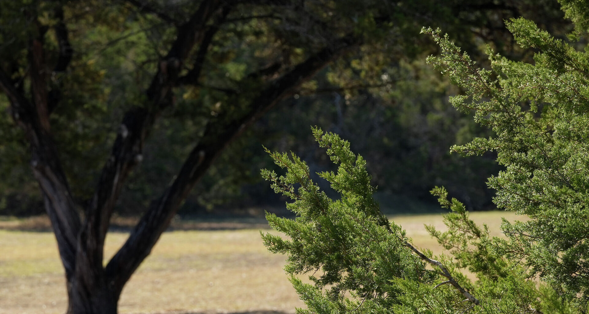 Austin Police Department cruiser