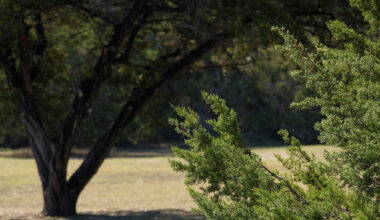 Austin Police Department cruiser