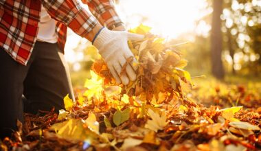 Curbside Collection of Bagged Leaves Begins in December