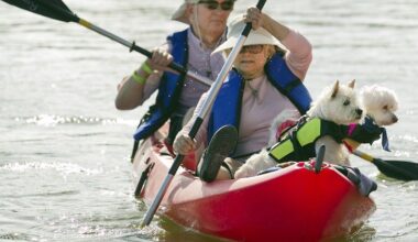 Cheap Valentine’s Day date ideas in Austin 2026 (under $50)