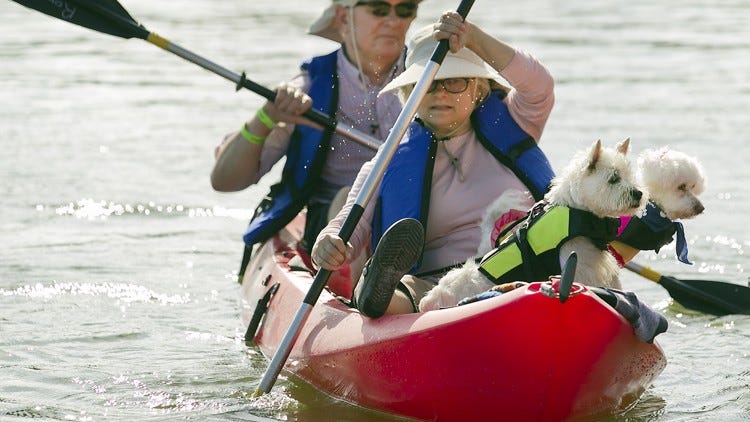 Cheap Valentine’s Day date ideas in Austin 2026 (under $50)