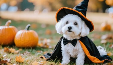 Weekend Buzz: Oct. 10-12, 2025