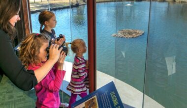 Great Backyard Bird Count | City of Arlington, TX