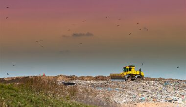 Arlington Residents Get 3 Free Landfill Drop-Offs Per Year