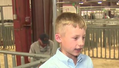 11-year-old takes home championship in junior gilt competition at San Antonio rodeo