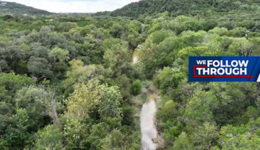 Developer pays City of San Antonio $3.3 million to clear land where endangered species lives