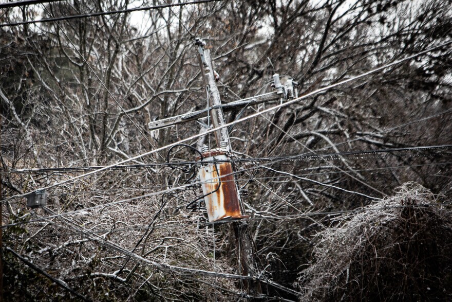 Ice on trees and power lines