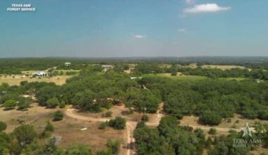 How to spot it, stop it and receive federal assistance