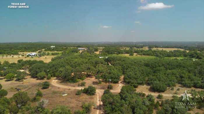 How to spot it, stop it and receive federal assistance