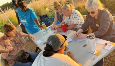 Sign Up for Sprinkler Repair, Rainwater Harvesting, Storytime & More