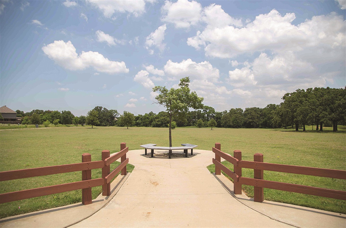 Valentine's Tree Seedling Giveaway | City of Arlington, TX