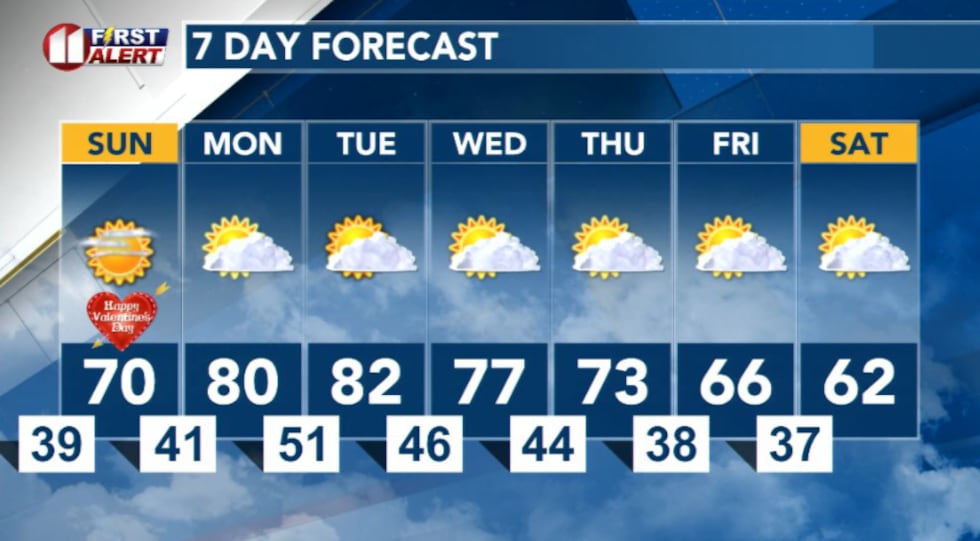 7 Day Forecast