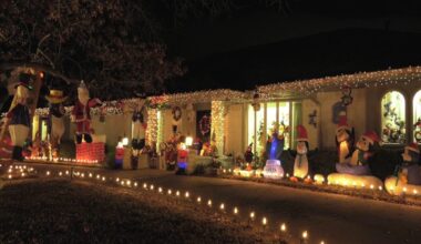 Enjoy 50th Year of Interlochen Lights in Arlington from Dec. 13-25