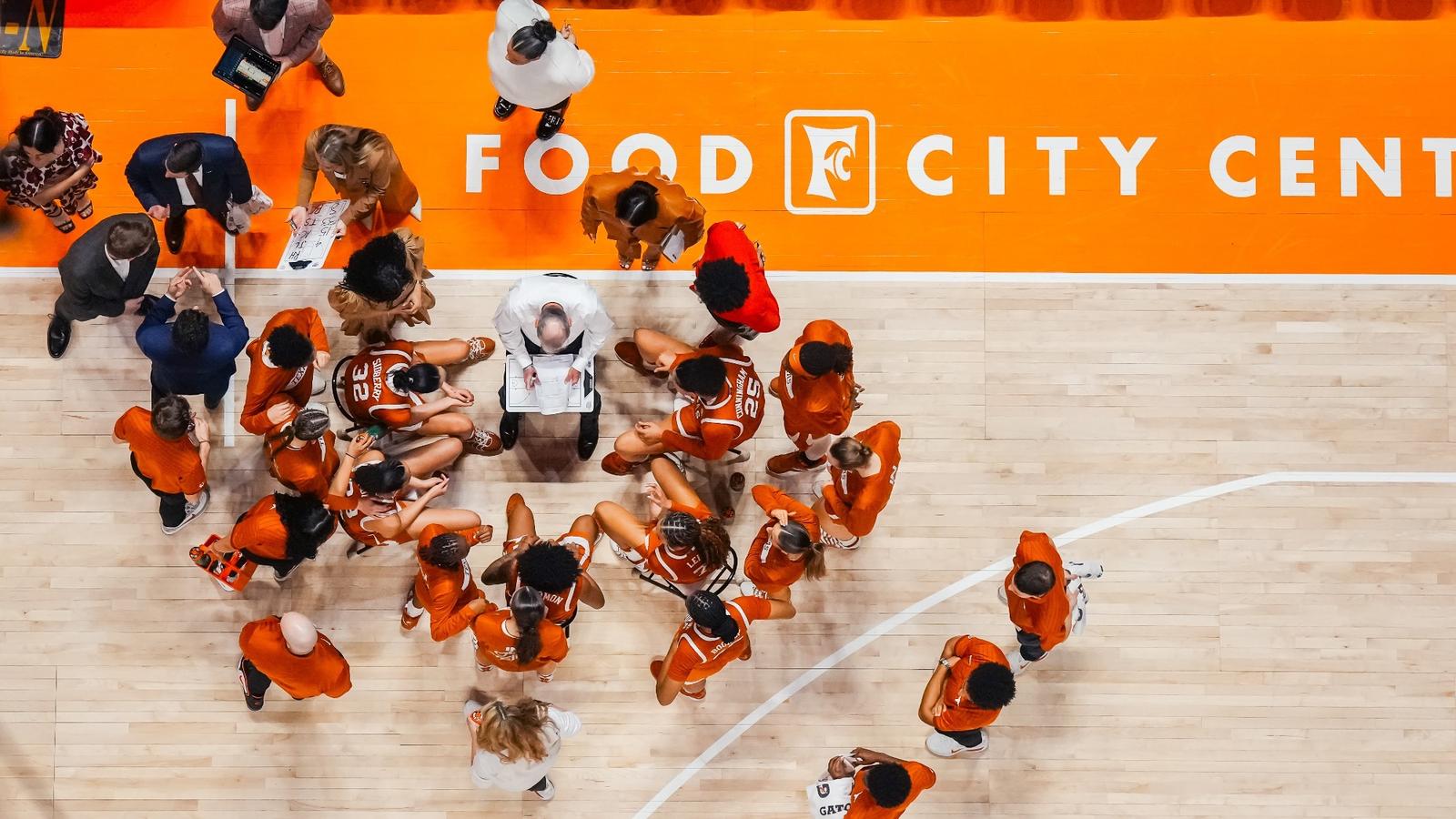 University of Arkansas Logo