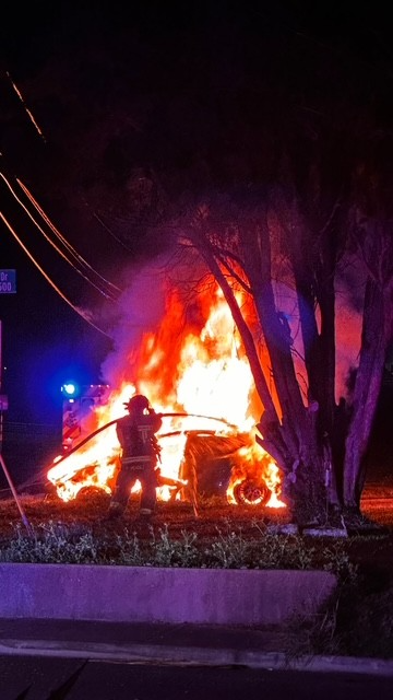 download (4)cvcv.png