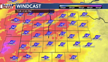 Strong wind, high wildfire risk Tuesday