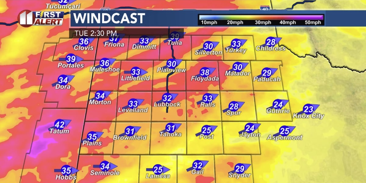 Strong wind, high wildfire risk Tuesday