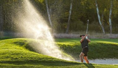University of Houston Logo