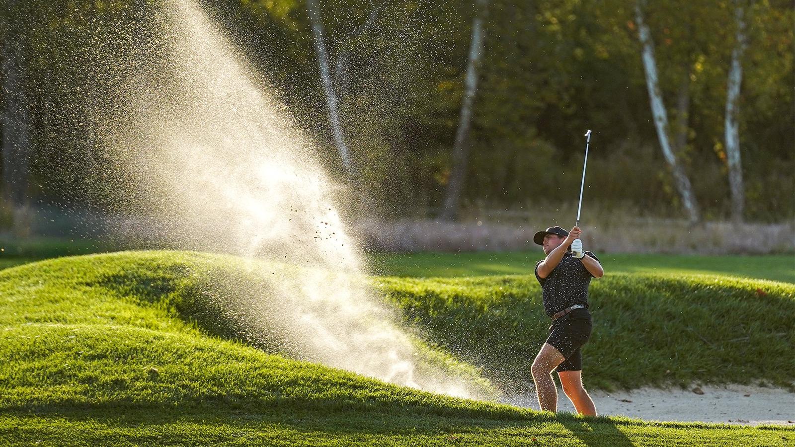 University of Houston Logo