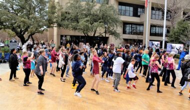 MLK Day of Service Festival