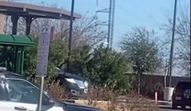 San Antonio police launch investigation after dog left behind during owner’s arrest