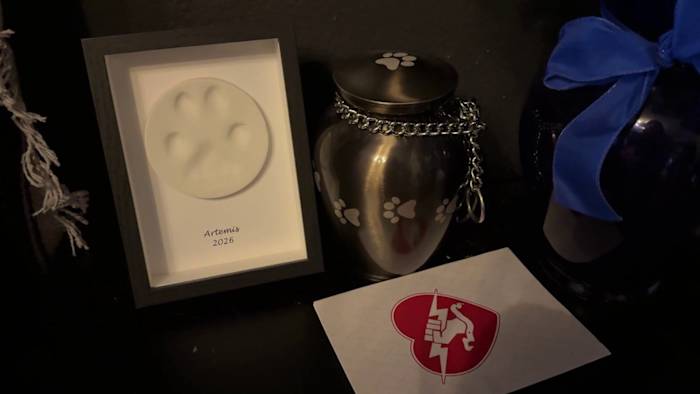 San Antonio owner demands answers after his dog was shot in neighborhood