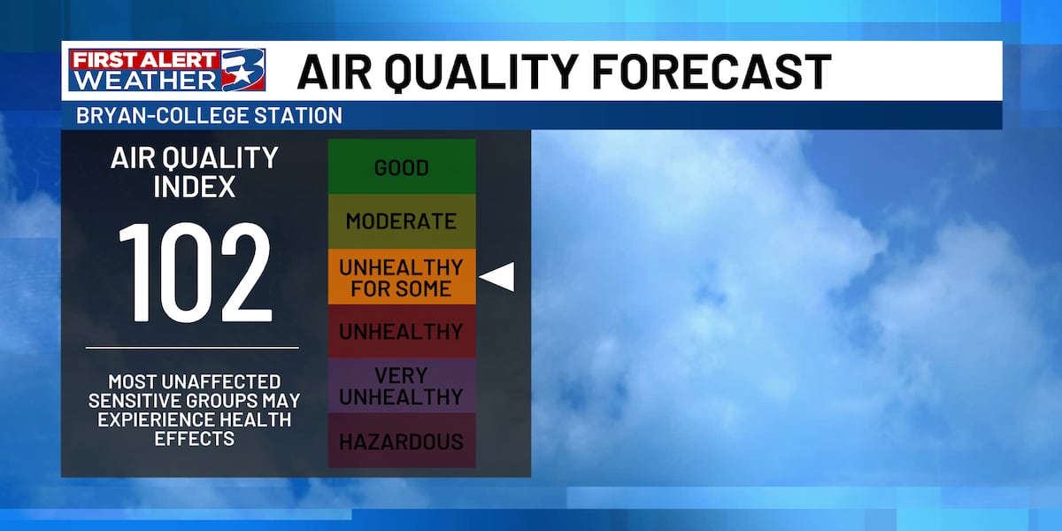Wildfires reduce air quality across Texas