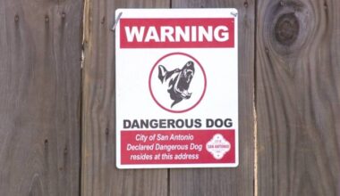 ACS is investigating more dangerous dog cases in San Antonio. Why is compliance down?