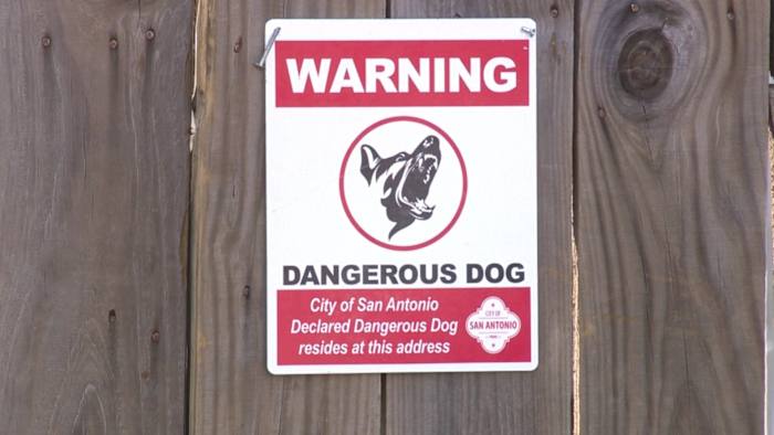 ACS is investigating more dangerous dog cases in San Antonio. Why is compliance down?