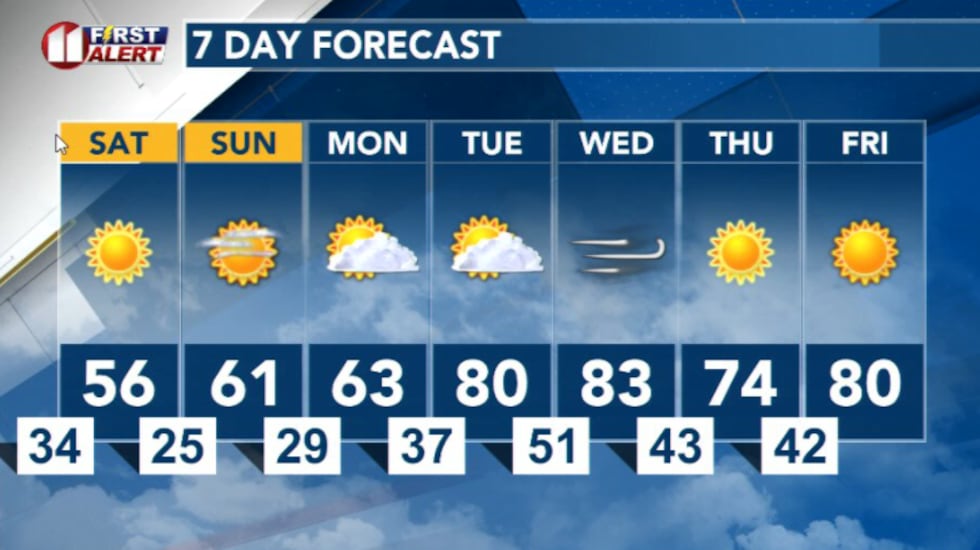 7 Day Forecast