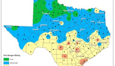 Winter temps return to Austin while winds elevate wildfire risk