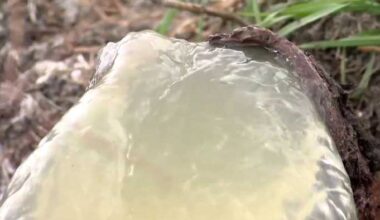 Broken pipe causes sewage spill along South Lake Houston Parkway