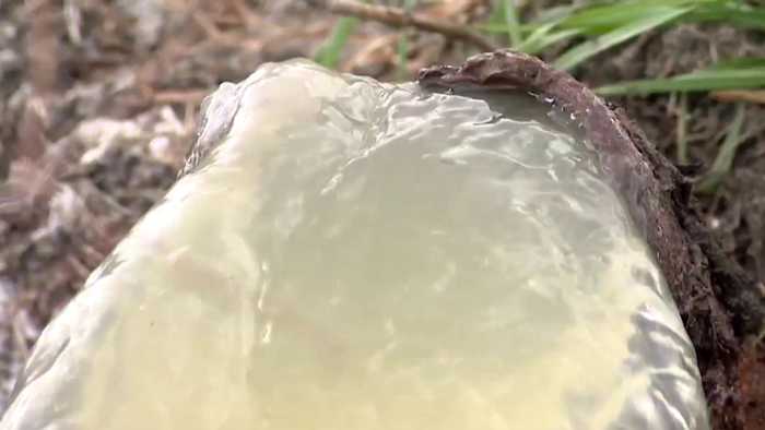 Broken pipe causes sewage spill along South Lake Houston Parkway