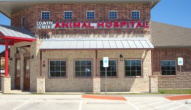 Country Creek Animal Hospital Broadens Veterinarian Offerings Across Allen, TX, Serving Allen and Plano, TX with Quality and Reliability