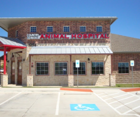Country Creek Animal Hospital Broadens Veterinarian Offerings Across Allen, TX, Serving Allen and Plano, TX with Quality and Reliability