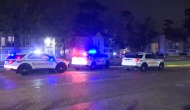 17-year-old arrested for man's hit-and-run death in east Harris County