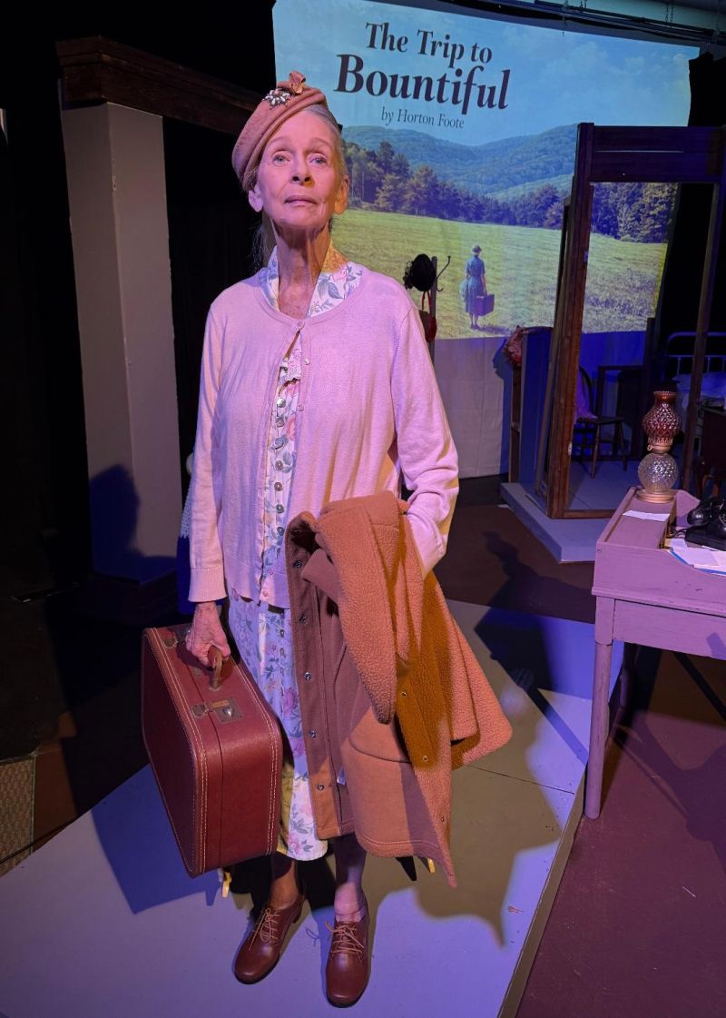 Review: THE TRIP TO BOUNTIFUL at City Theatre Austin  Image