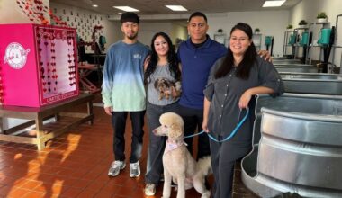 Small Business Promotion Week: Scrub a Pup