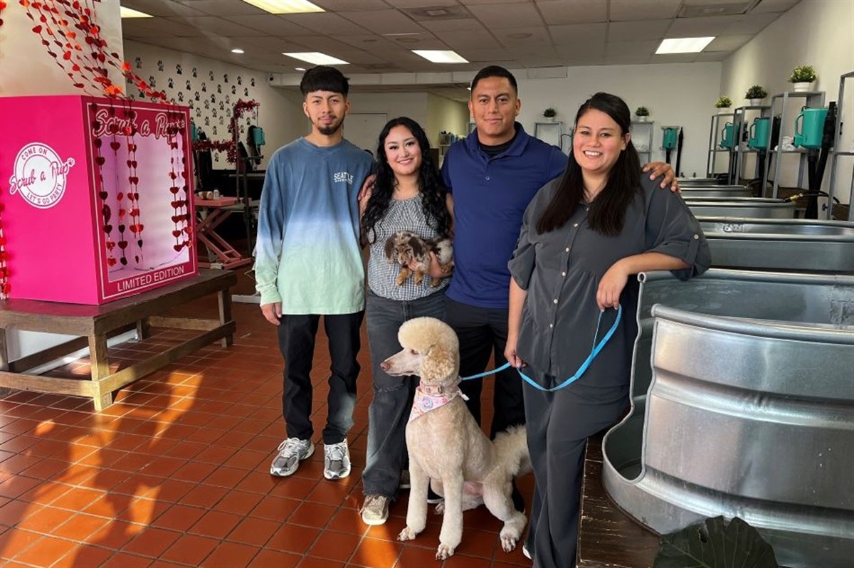 Small Business Promotion Week: Scrub a Pup