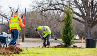 Arlington Kicks Off Tree Planting Initiative to Celebrate 150 Years