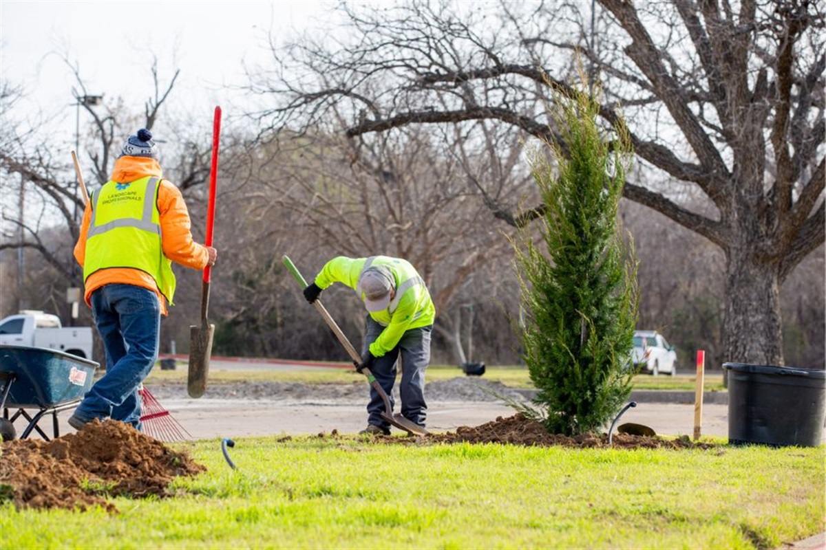 Arlington Kicks Off Tree Planting Initiative to Celebrate 150 Years