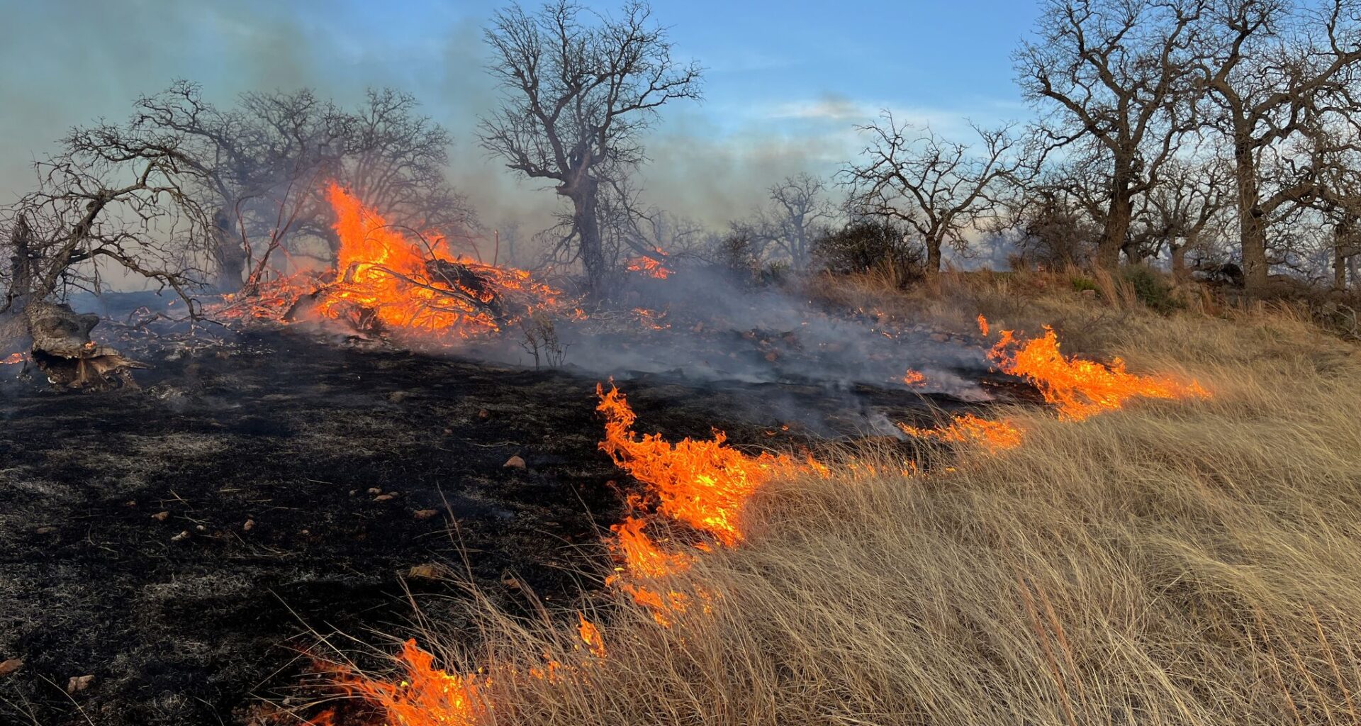 Active wildfires in Texas Include a major blaze in the Hill Country