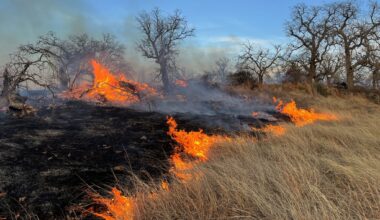 Active wildfires in Texas Include a major blaze in the Hill Country