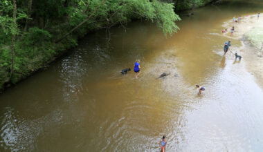 Houston Audubon acquires 128-acre Peach Creek Woods Nature Sanctuary
