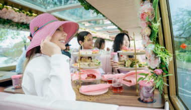 Double-decker bus tea experience Tea Around Town launches in San Antonio